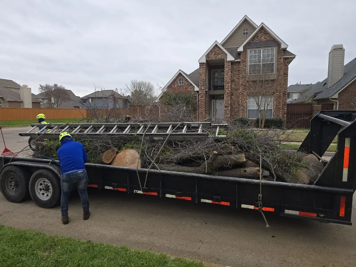 Expert Lot Clearing with proper safety equipment in Munster